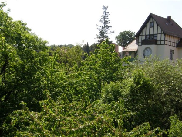 Villa Bellevue Dresden - Wohnung 1, Ausblick Fernsehecke Villa Bellevue Dresden - Wohnung 1, Ausblick Fernsehecke
